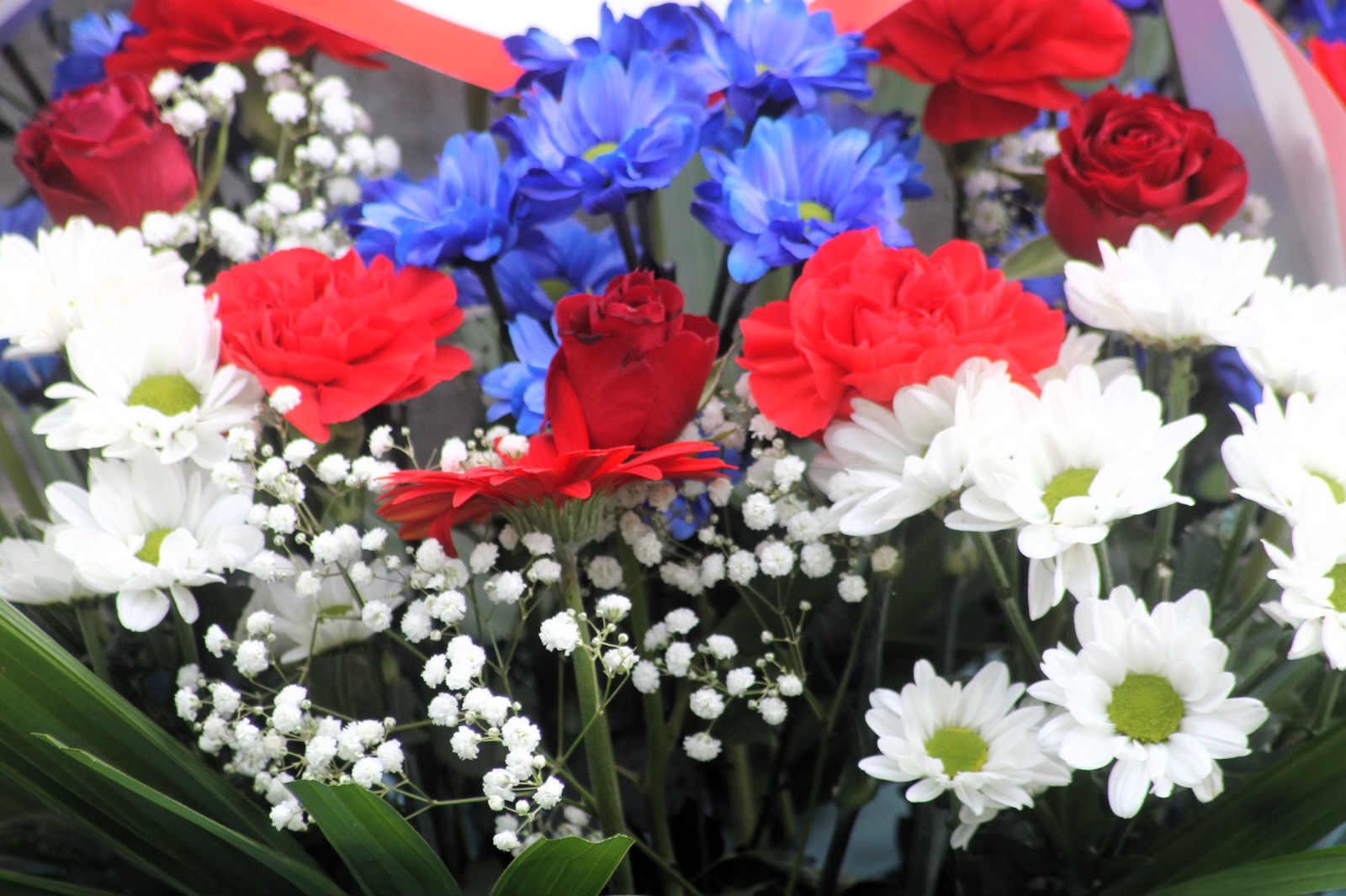 Commémoration du 11 novembre